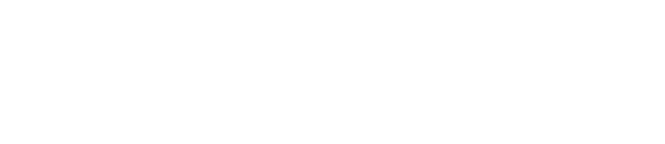 TECHNICAL CAPABILITIES